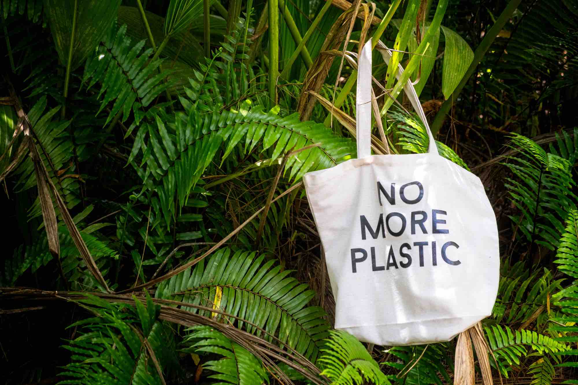 مصر تسعى لتعزيز الجهود للتقليل من استعمال الأكياس البلاستيكية المتاحة للاستخدام الواحد